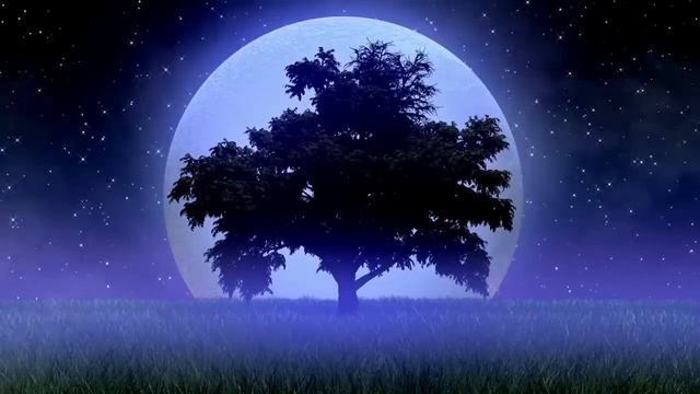 SUEÑO PROFUNDO Música Para Dormir Rápido Y Profundamente, Musica Para Dormir, Sueño Profundo