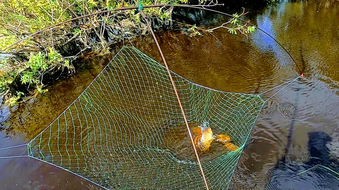 Рыбалка на карася! Карась на паук! Солим рыбу не отходя от кассы! Рыбалка 2021. смотреть онлайн