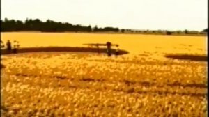 Вся правда об НЛО: НЛО Факты 2.