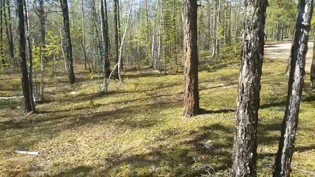 Выезд на природу. Окрестности Якутска. 14.05.21. смотреть онлайн