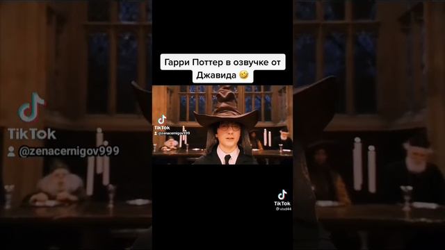 Гарри Поттер озвучка Джавида