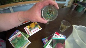 Готовим семена моркови и свеклы к посеву