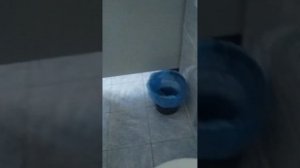 обзор нашего школьного туалета чееек ГБОУ сош 414