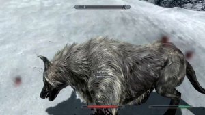 The Elder Scrolls V Skyrim #15 - Древний свиток Ледяные руины