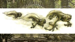 "Жизнь Острова Черепа" (The Life of Skull Island) - Ксамоптерикс (Xamopteryx)