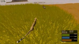 Cheetah hunting warthog ROBLOX Wild Savanna