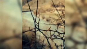 Лезгины / Река Самур 2022