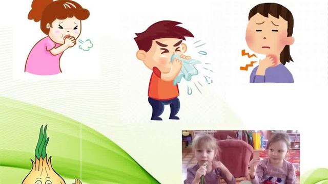 Проект Лук – зелёный друг смотреть онлайн