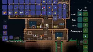 Terraria # 22 (КРЮК КОШКА)