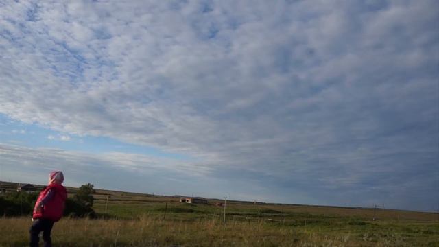 Летучий змей Летучая мышь