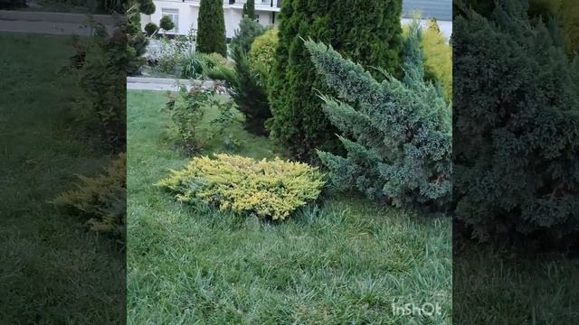 Горячие источники Чунджа. зона отдыха "Тумар" 29 августа 2021 года. смотреть онлайн