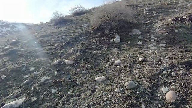 Прогулка "над Бишкеком" / Панорама города Бишкек 2024 смотреть онлайн