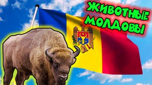 Животные Молдовы