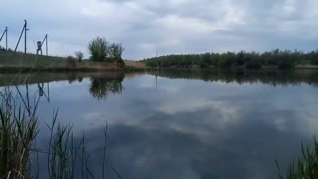 Фидерная ловля в селе Оленовка(Оленівка) Кировоградского района смотреть онлайн