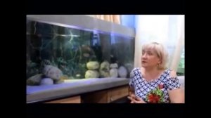 Гексамитоз у цихлид  Свои наработки.