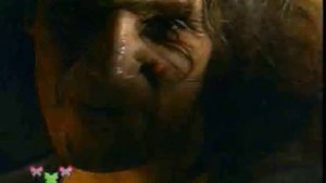 Вальдемар Кобозя Так оно и есть