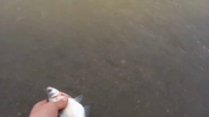 Партизанское водохранилище. Экстремальная рыбалка в ураган.