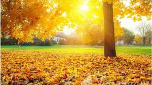 Modern Martina – Равнодушная Осень классная мелодия ★█