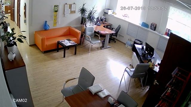 Камера AVC-9101G дневная съемка в офисе смотреть онлайн