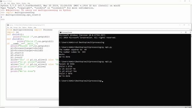 Python Multiprocessing Code Practice