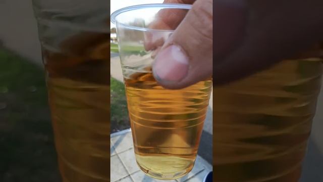 Напитки в черноголовке! Остерегайтесь палаток. смотреть онлайн