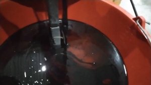 Ленточный скиммер