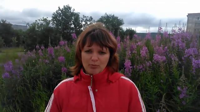 Люди будут идти к вам сами! смотреть онлайн