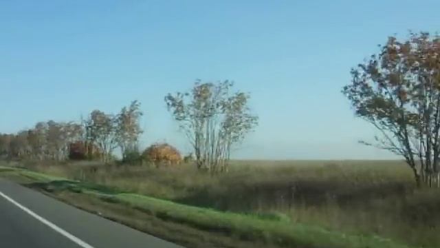 Дорога Владимир Суздаль смотреть онлайн