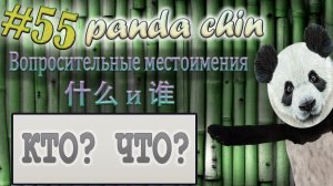 Урок 55. Вопросительные местоимения 什么 shénme и 谁 shéi в китайском языке