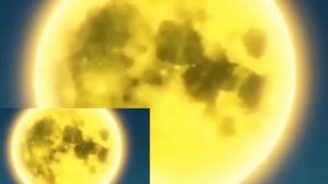 MA Gummy Bear Cheama Gummibär Version Romanian Monster Mash HALLOWEEN Osito Gominola Funny bear son