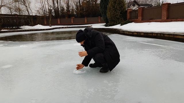 КОРМЛЕНИЕ ОСЕТРА в своем пруду. Часть 2 смотреть онлайн