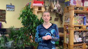 Домашние джунгли | Дома есть цветы, но вы не знакомы с каждым из них - зовите меня на зеленое ТО