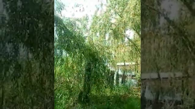 Отличное место для рыбалки и отдыха в ДНР смотреть онлайн