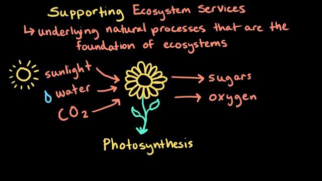 Humans and ecosystems: how do vultures provide ecosystem services? | Khan Academy