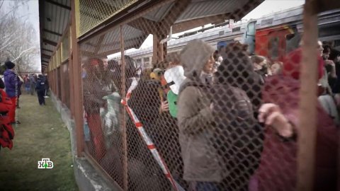 Украинские беженцы в Европе могут стать жертвами торговцев людьми