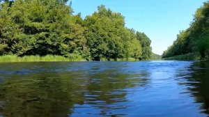 Расслабляющие звуки природы.Пение птиц, журчание воды Для медитации, сна, отдыха.