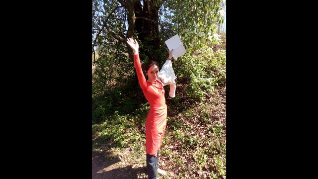 J.S. Bach. Ария из кантаты 51. Jauchzet Gott in Allen Landen смотреть онлайн