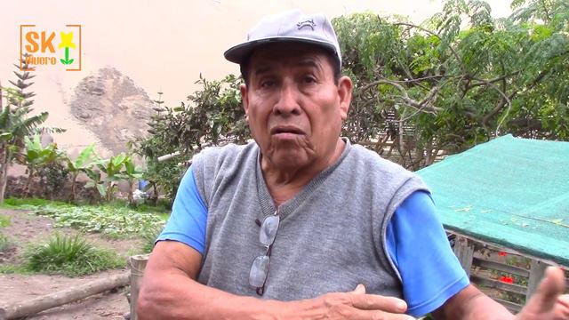 COMO CULTIVAR EN LA ARENA - VISITA A CHANCAY - ECOTRULY PARK смотреть онлайн