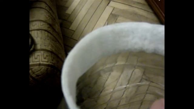 Самодельный воротник для кота из бутылки смотреть онлайн