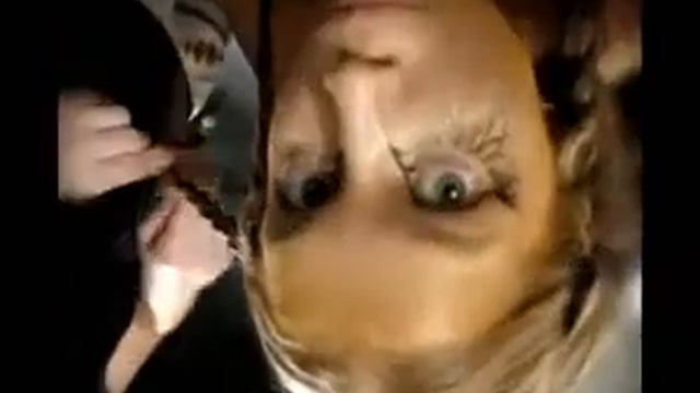 Дарья Мельникова в проекте "Мифические существа" смотреть онлайн