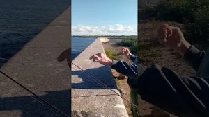 Рыбалка в Кронштадте