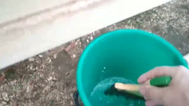 Отбеливатель для древесины ЗЕЛЕСТ против БЕЛИЗНЫ. смотреть онлайн