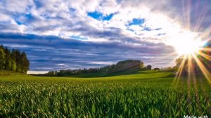 В небесах дом родной...
