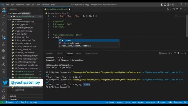 How to add new items or update list in python
