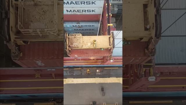 Погрузка 20 футовых контейнеров в трюм|Слепые места грузим с сигнальщиком| смотреть онлайн