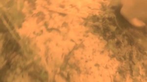 Ловля раков под водой в конце лета