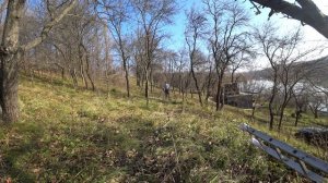 Компостная яма для пищевых отходов. Заготовка дров. Кошка вегетарианка.