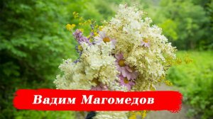 Вадим Магомедов -Даргинская песня