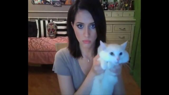 Покажи КИСКУ!!! Прикол. смотреть онлайн