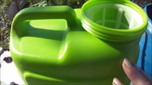 Опрыскивание клубники  Три в одном